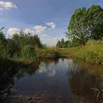 Spiegelung im Bach