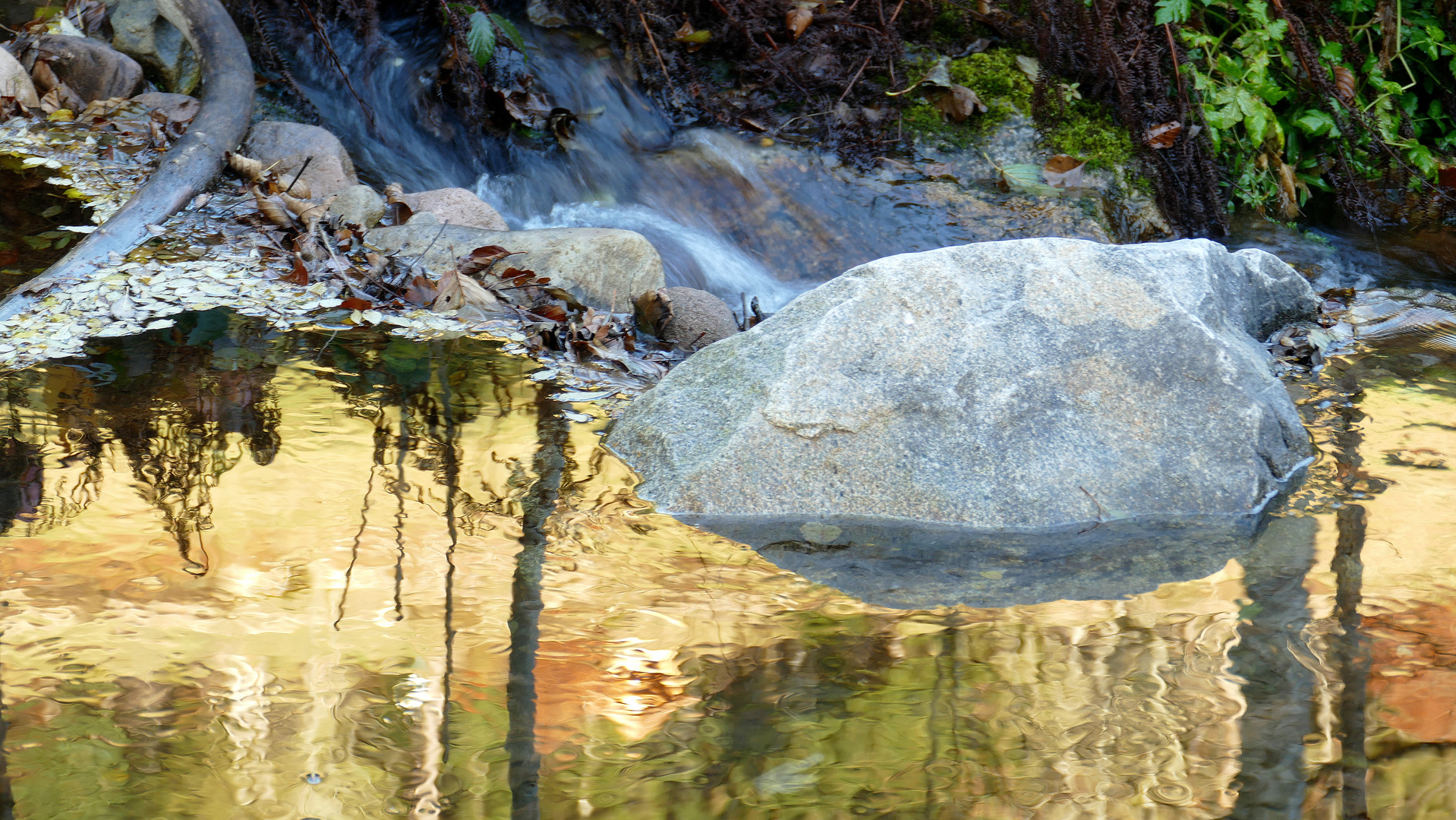 °°°° Spiegelung im Bachlauf °°°°