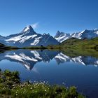 Spiegelung im Bachsee