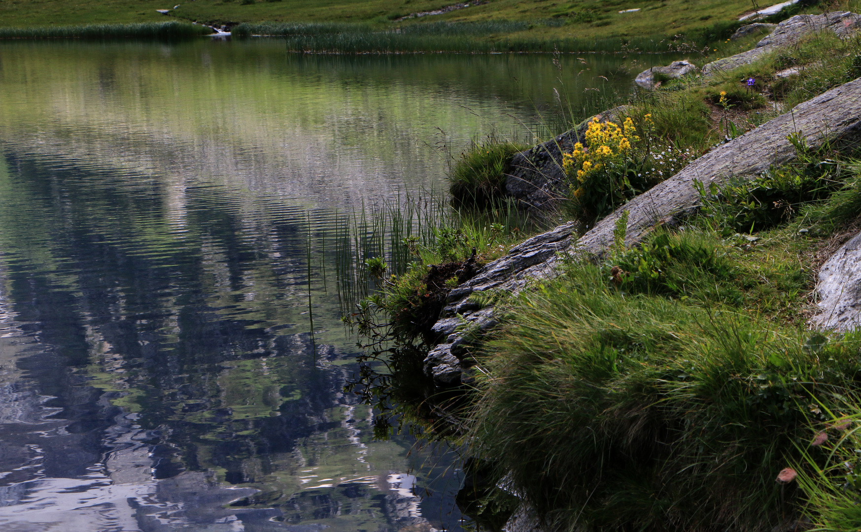 Spiegelung im Bergsee