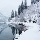 Spiegelung im Bergsee