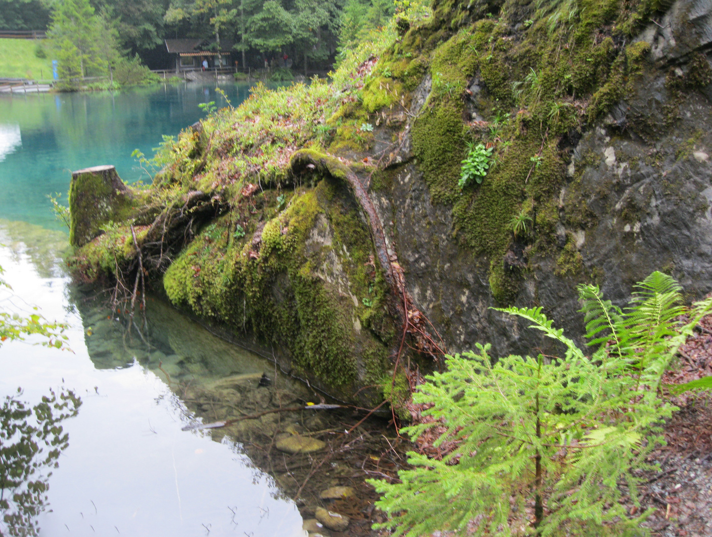 Spiegelung im Blausee