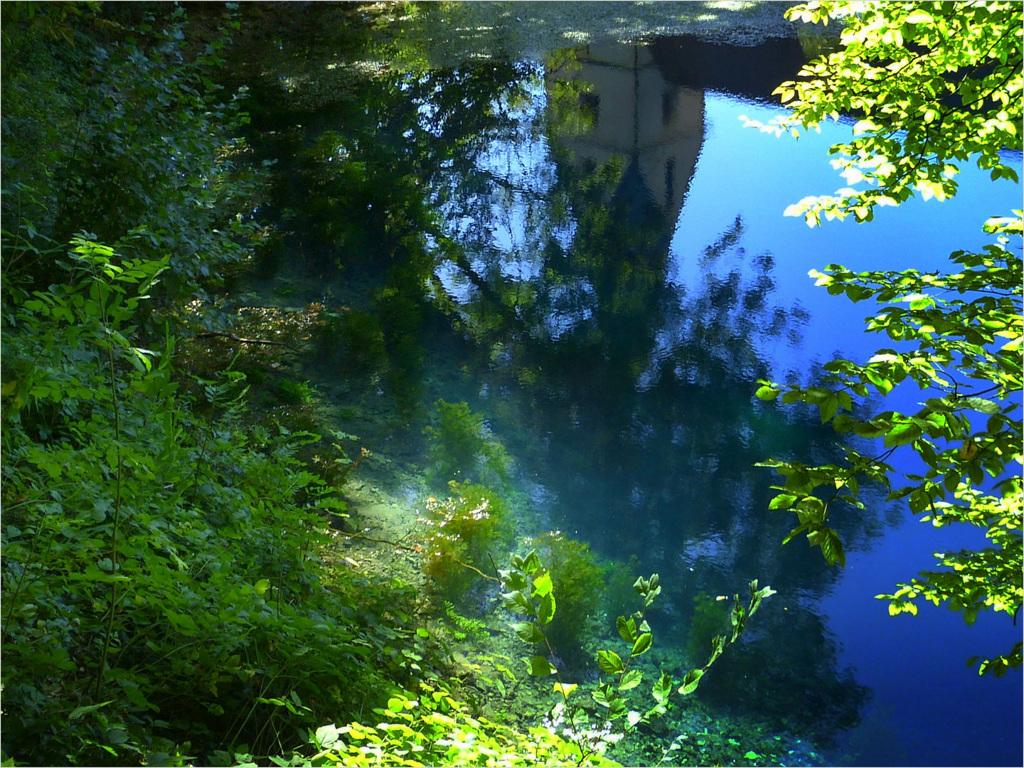 Spiegelung im Blautopf