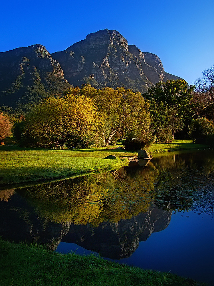 Spiegelung im Botanischen Garten von Stellenbosh / Südafrika von Ralf Laschinger