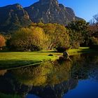 Spiegelung im Botanischen Garten von Stellenbosh / Südafrika