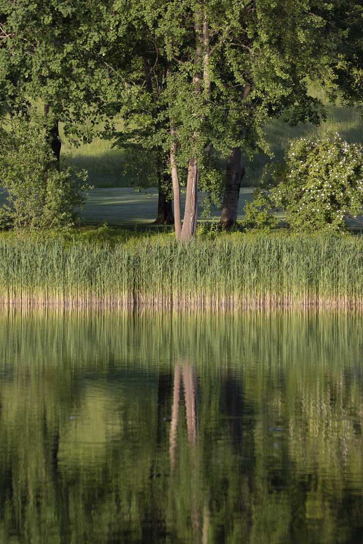 Spiegelung im Britzer Garten 