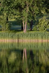 Spiegelung im Britzer Garten 