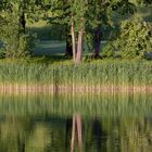 Spiegelung im Britzer Garten 