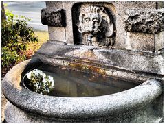 Spiegelung im Brunnen