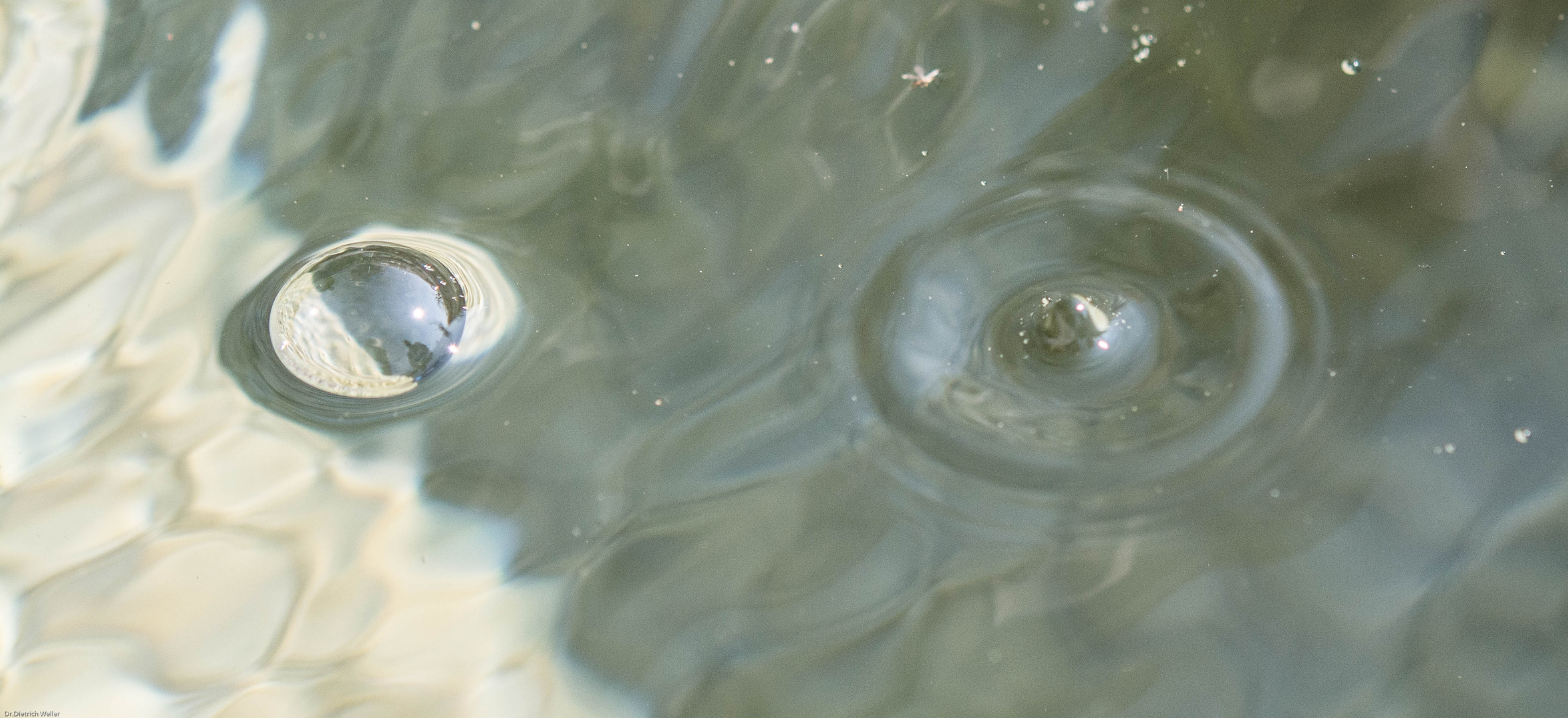 Spiegelung im Brunnenwasser (2)