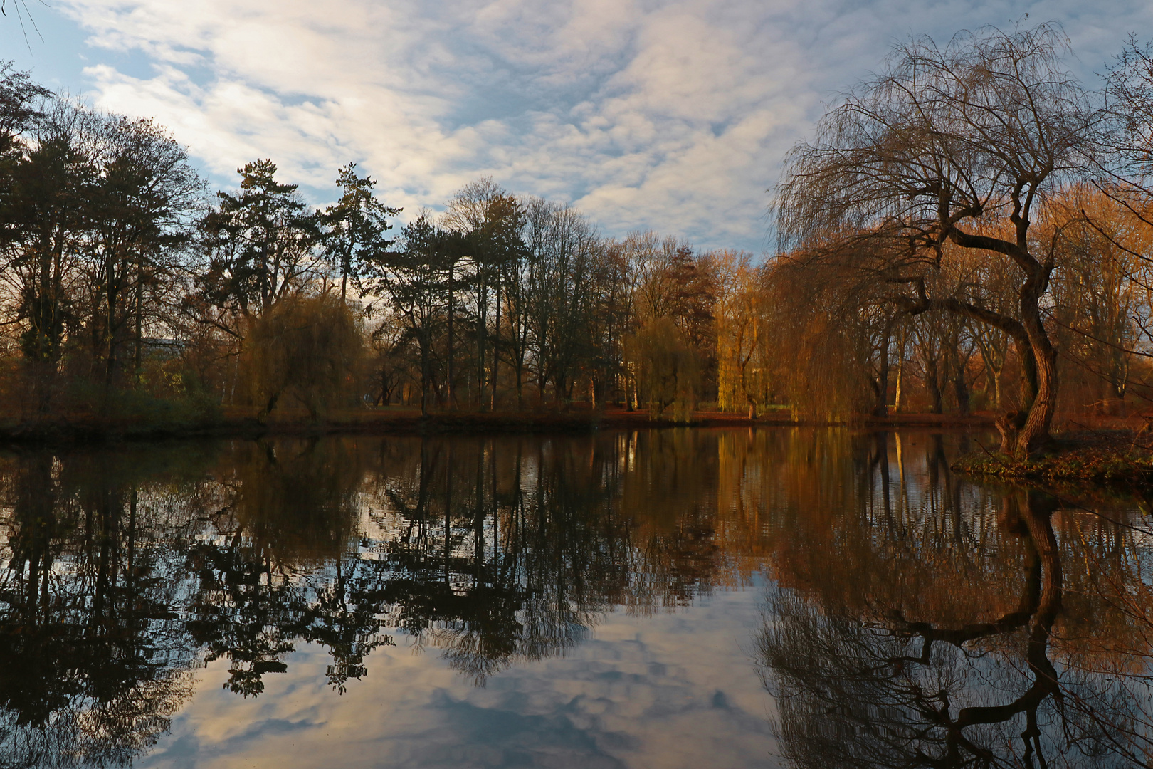 Spiegelung im Bürgerpark