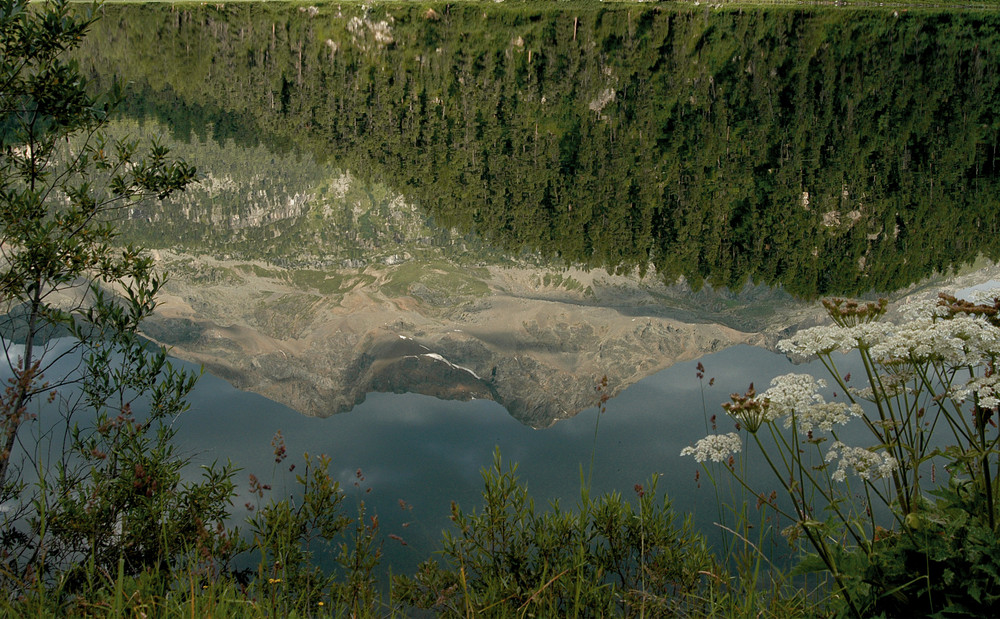 Spiegelung im Champfèr See