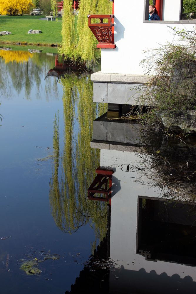 Spiegelung im Chinesischen Garten