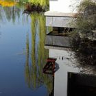 Spiegelung im Chinesischen Garten