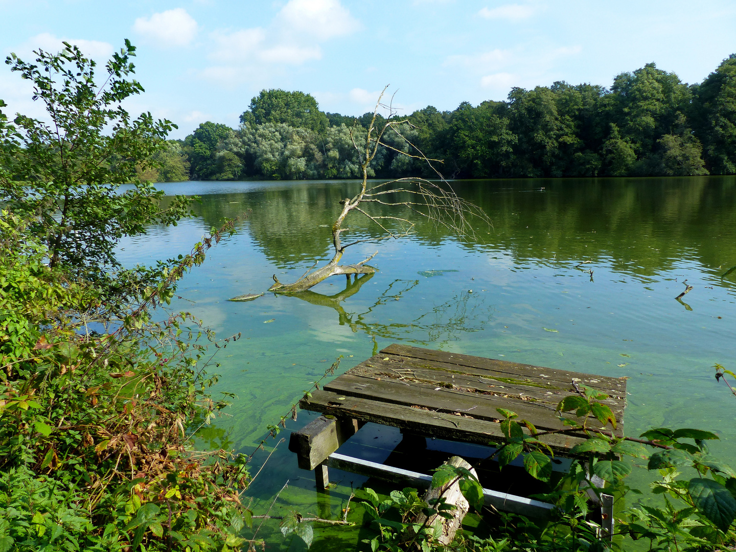 Spiegelung im De Witt See   (Dienstag ist spiegeltag )