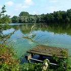 Spiegelung im De Witt See   (Dienstag ist spiegeltag )