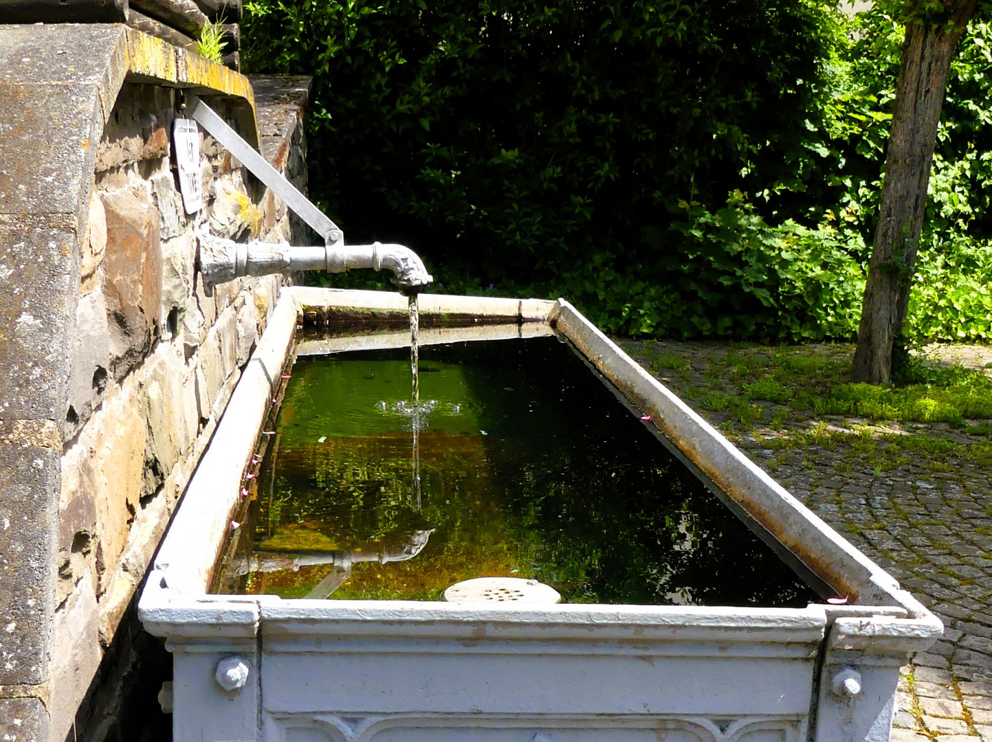 Spiegelung im Dorfbrunnen...