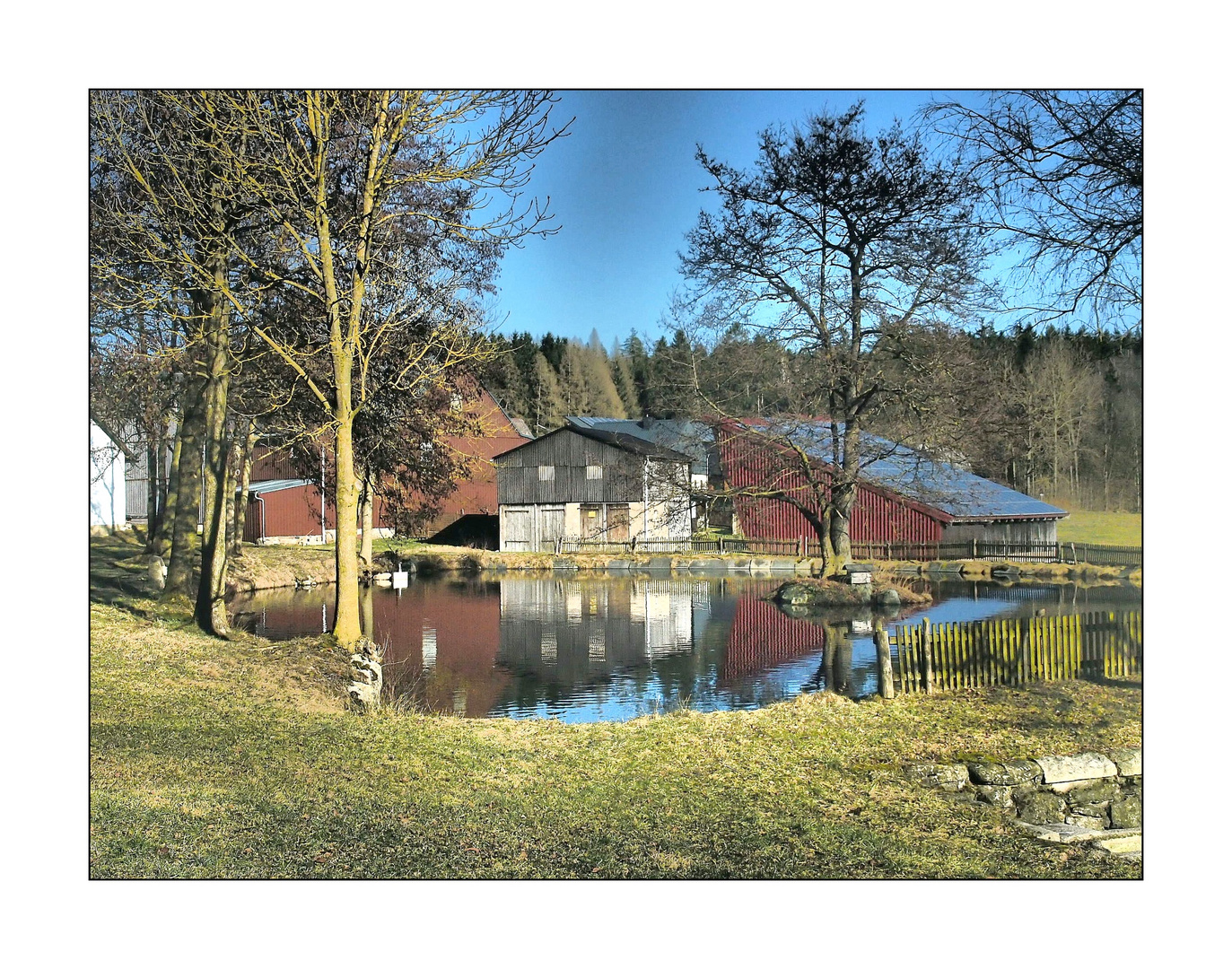 Spiegelung im Dorfteich