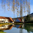 Spiegelung im Dorfteich