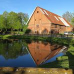 Spiegelung im Dorfteich Bendfeld in der Probstei