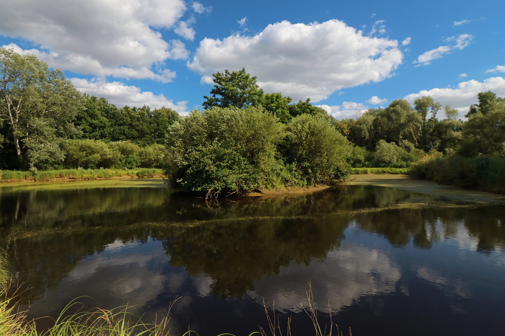 Spiegelung im dunklen Wasser