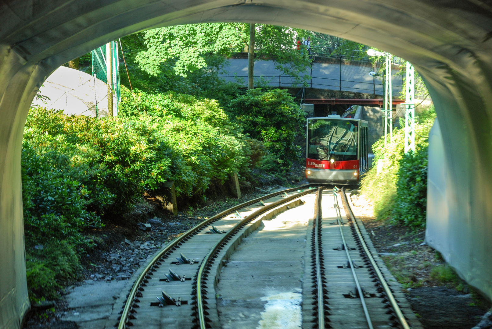 Spiegelung im Durchblick