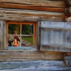 Spiegelung im Fenster