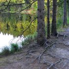 Spiegelung im Fichtelsee