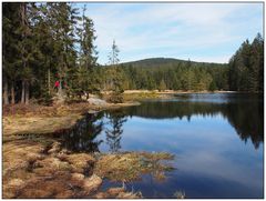 Spiegelung im Fichtelsee