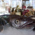 Spiegelung im Fischrestaurant
