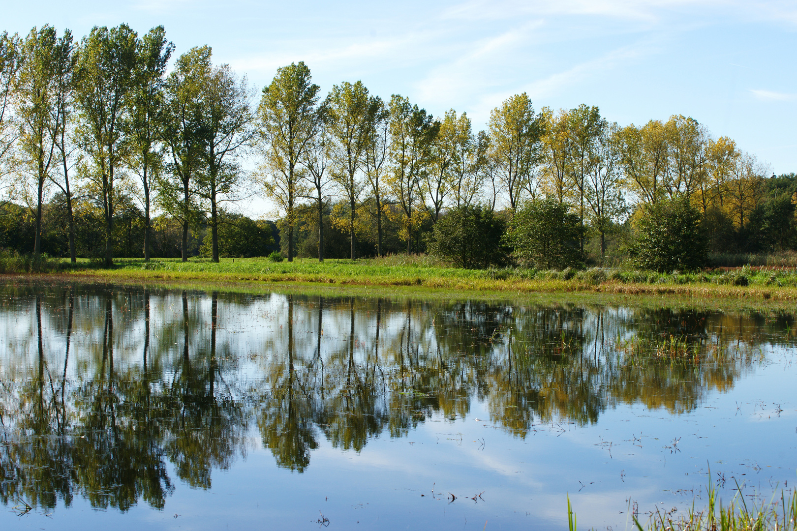 Spiegelung im Fischteich...