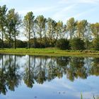 Spiegelung im Fischteich...