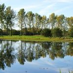 Spiegelung im Fischteich...