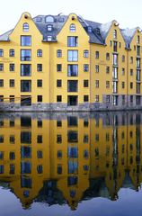 Spiegelung im Fjord