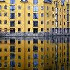 Spiegelung im Fjord