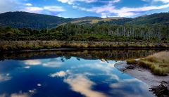 Spiegelung im Fluss