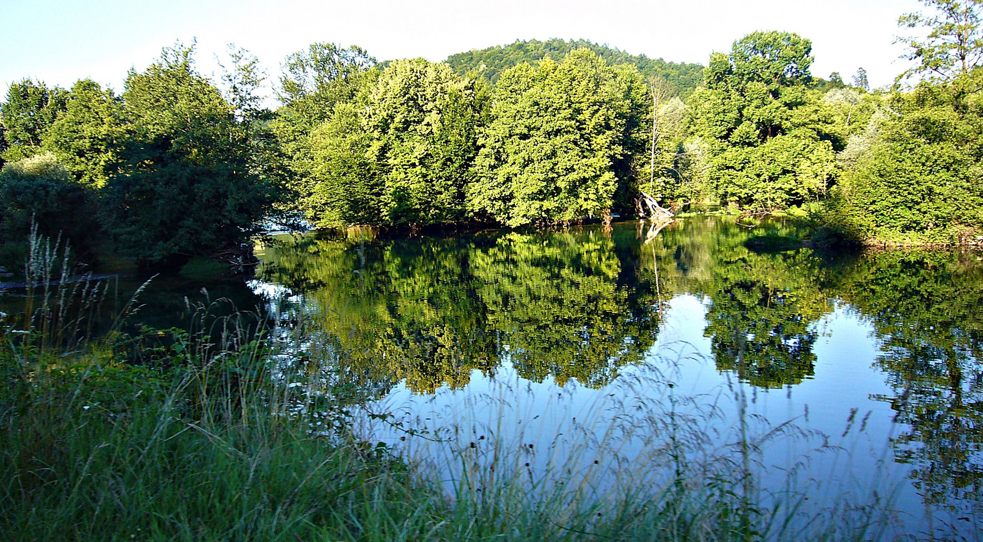 Spiegelung im Fluss