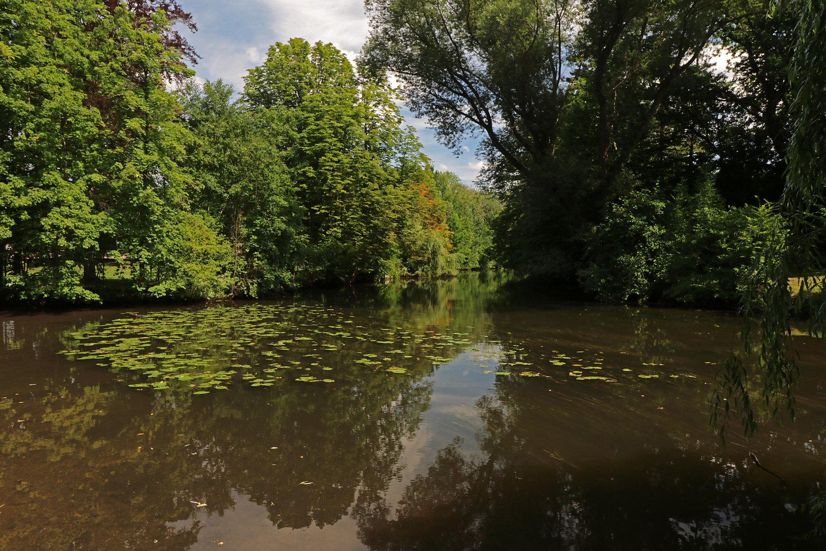 Spiegelung im Fluss