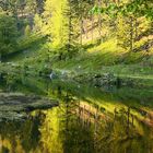 Spiegelung im Frühling