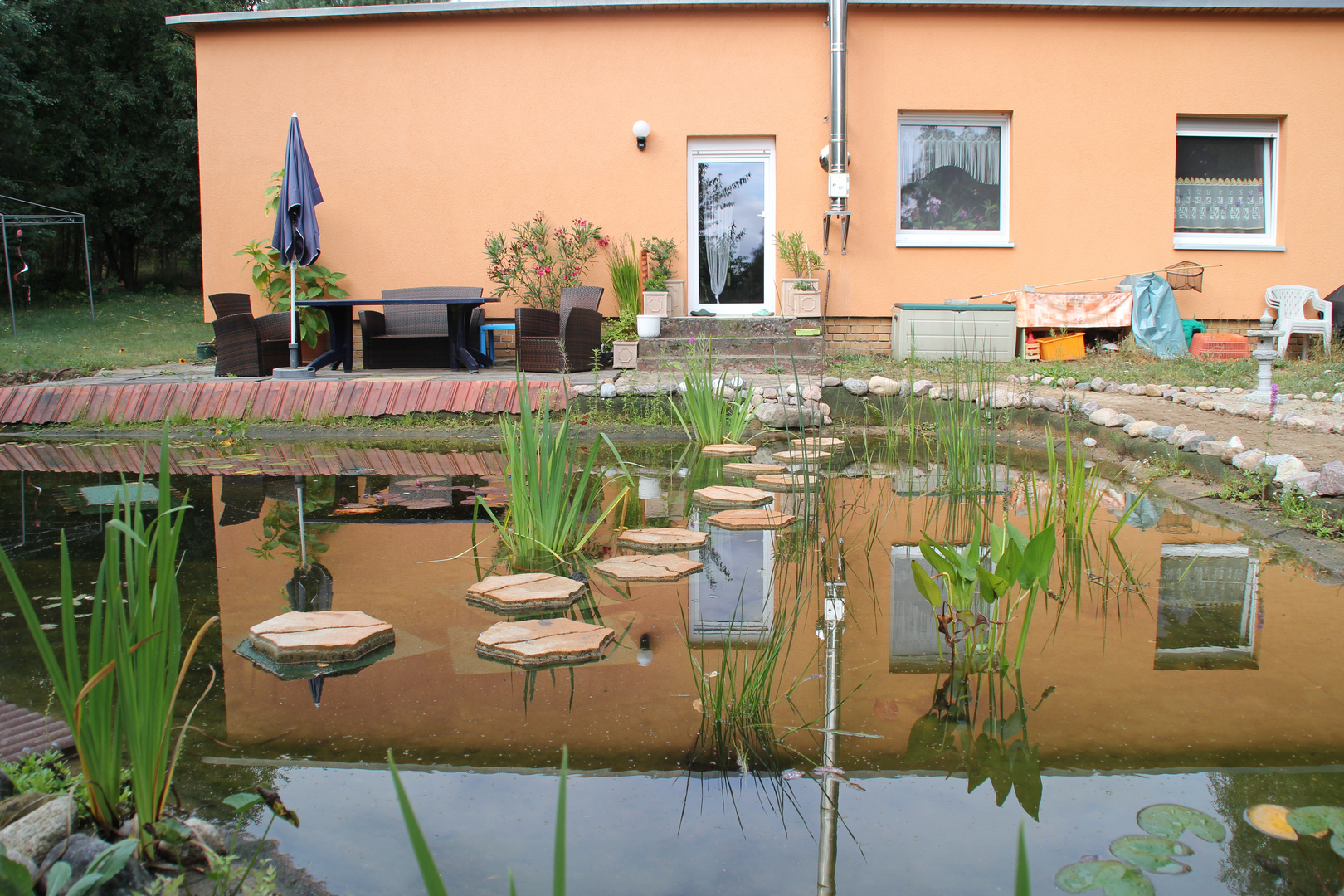 Spiegelung im Gartenteich