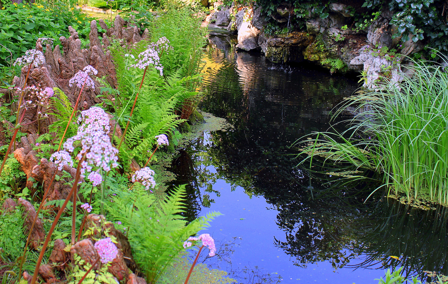 Spiegelung im Gartenteich