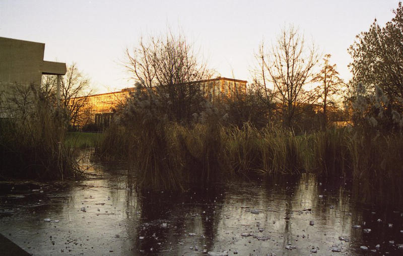 Spiegelung im gefrorenen Uni-Teich