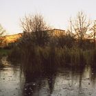 Spiegelung im gefrorenen Uni-Teich