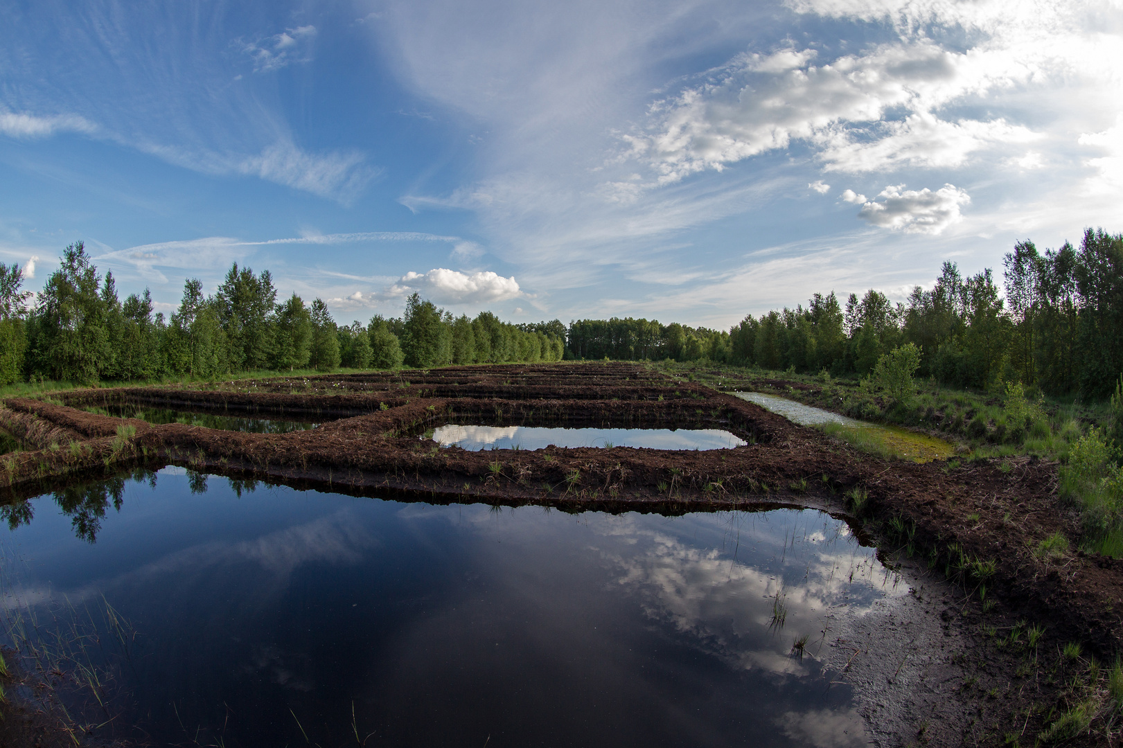 Spiegelung im Grossen Moor  - 12mm -