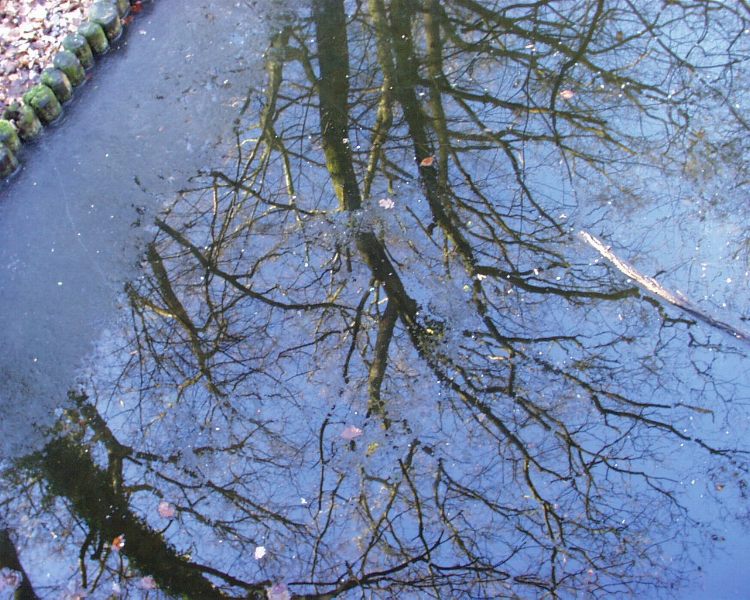 Spiegelung im halb eingefrorenen See