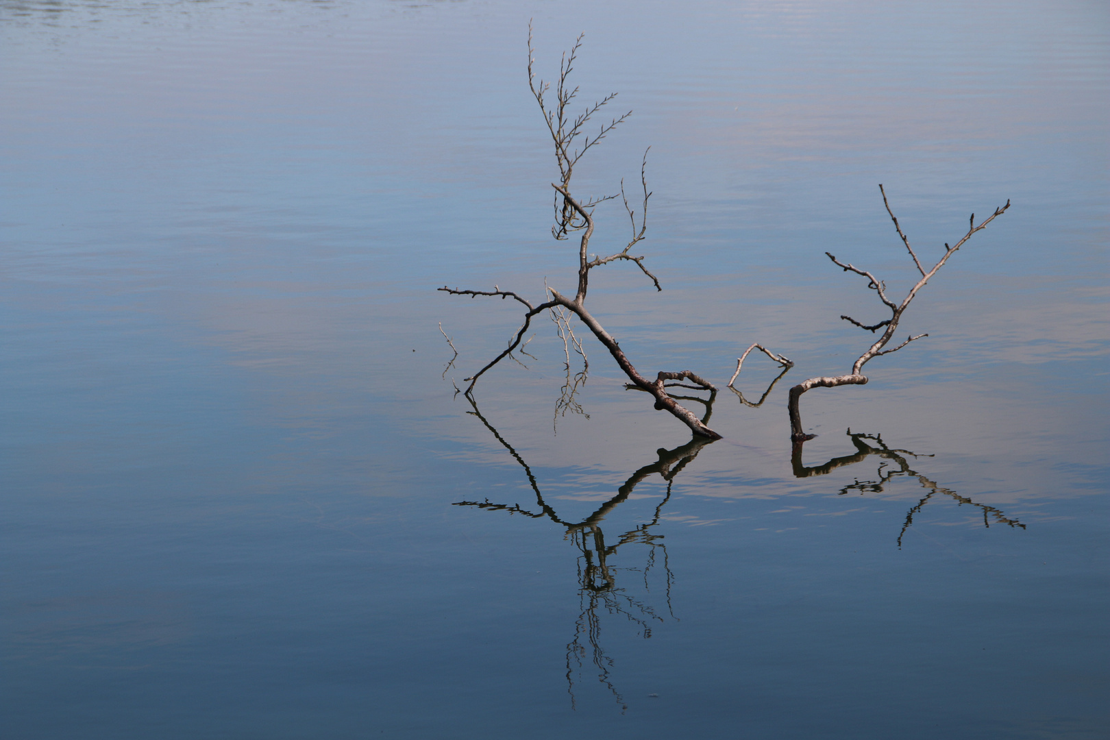  Spiegelung im Hausteich