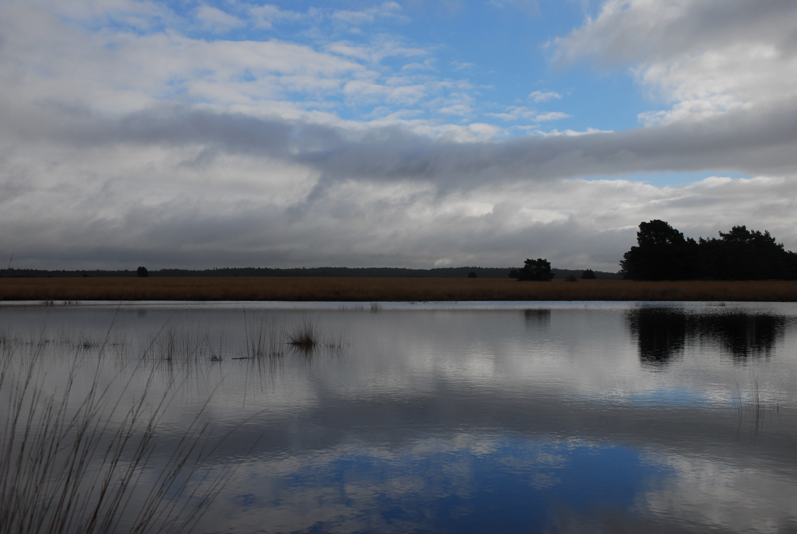 Spiegelung im Heidesee