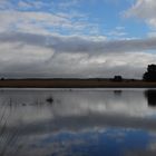 Spiegelung im Heidesee