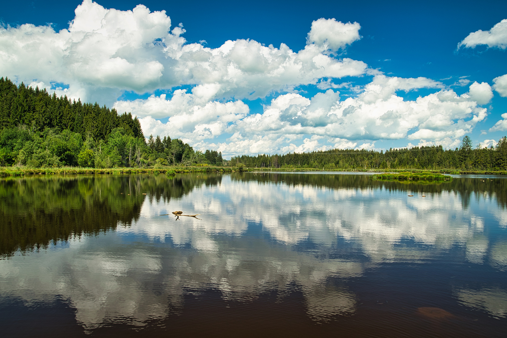 Spiegelung im Herbisweiher im Allgäu 