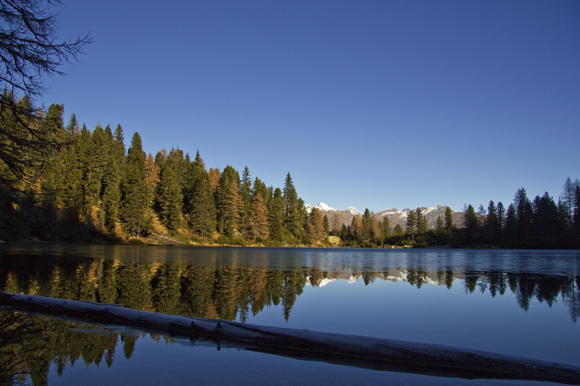 Spiegelung im Herbst